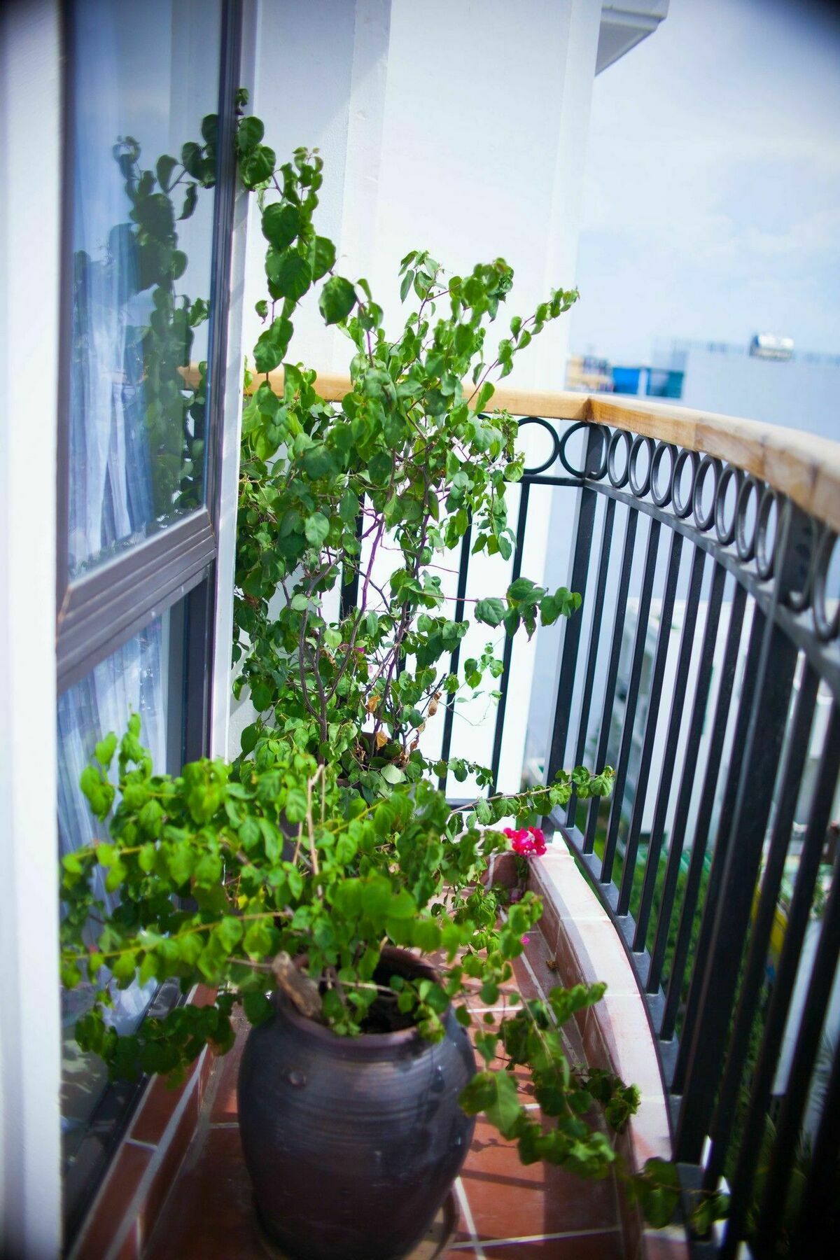 Eco Green Boutique Hotel Дананг Екстериор снимка